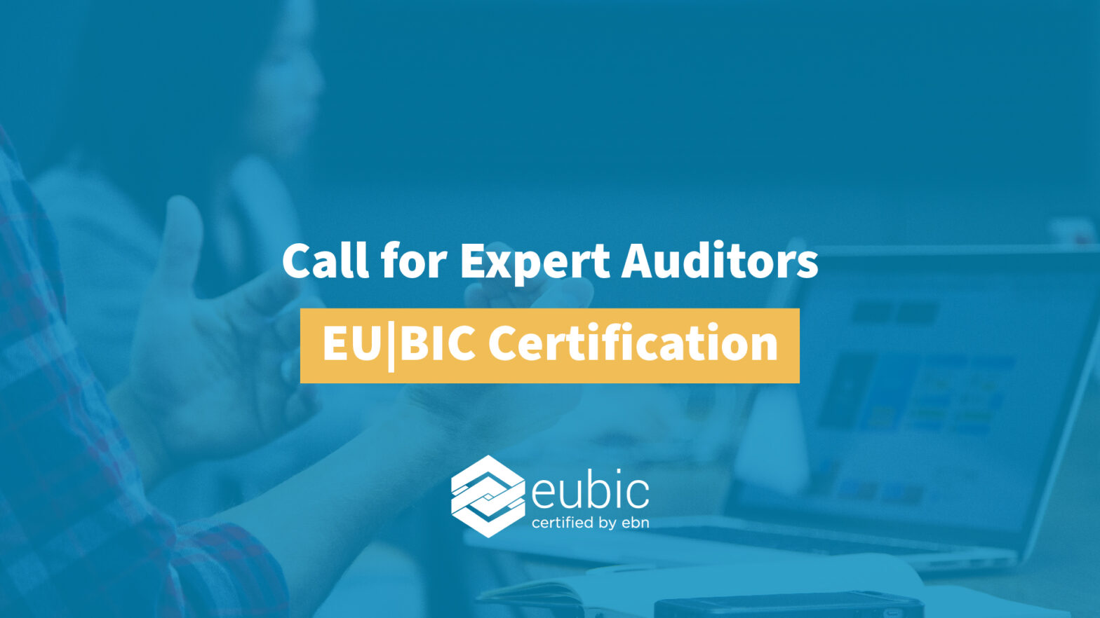 call for expert auditors eubic european business and innovation centres