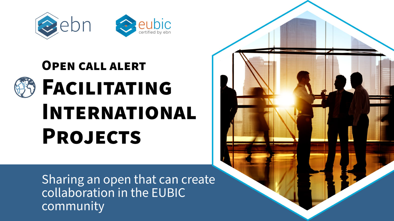 EUBIC EU International Project Call Innovation
