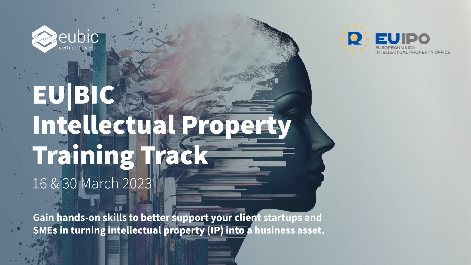 EU|BIC Intellectual Property Training Track 2023 - EUIPO