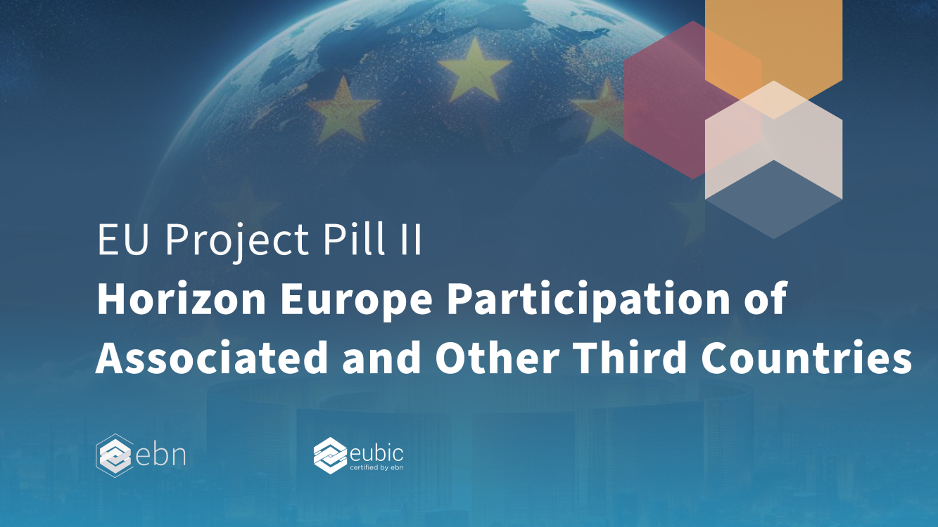 eu project pill 2 for european business and innovation centres