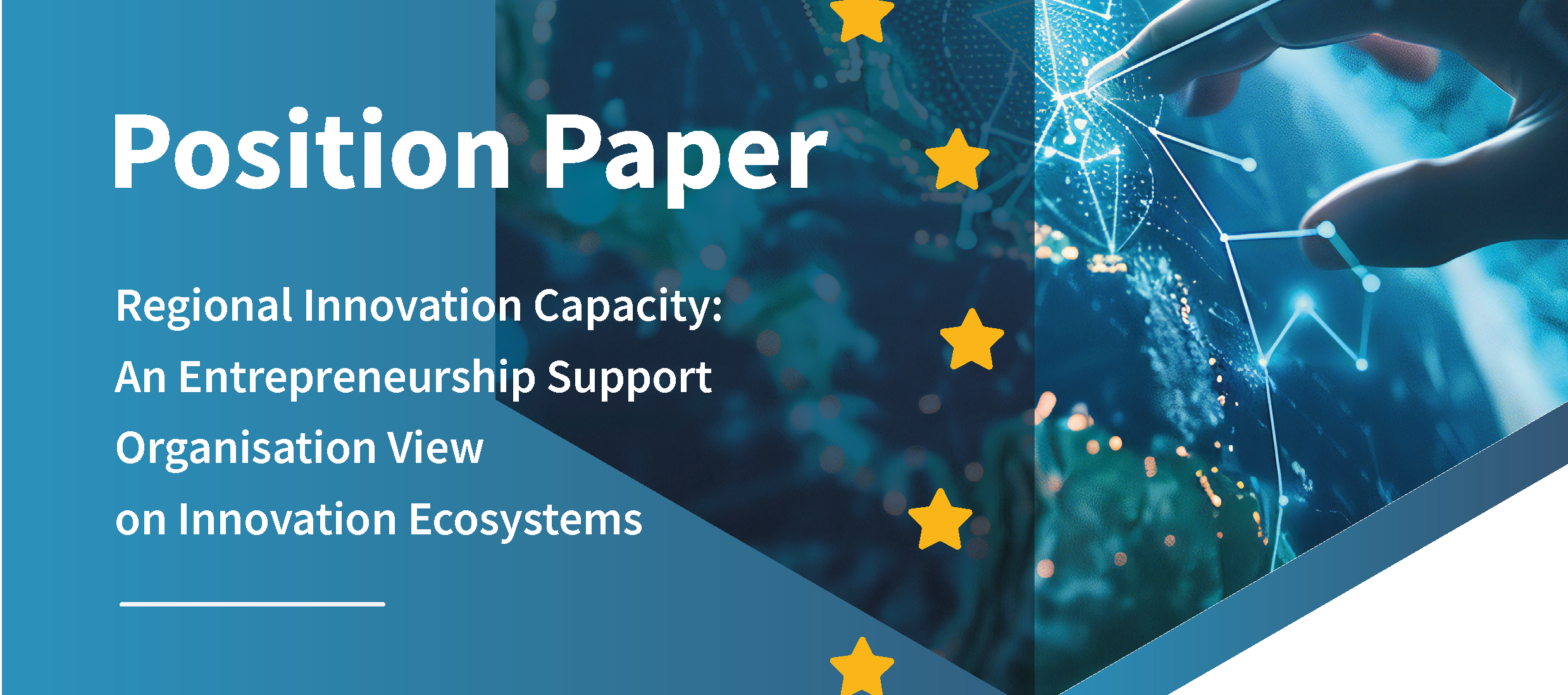 Regional Innovation Capacity: An entrepreneurship support organisation view on innovation ecosystems; Bram Pauwels